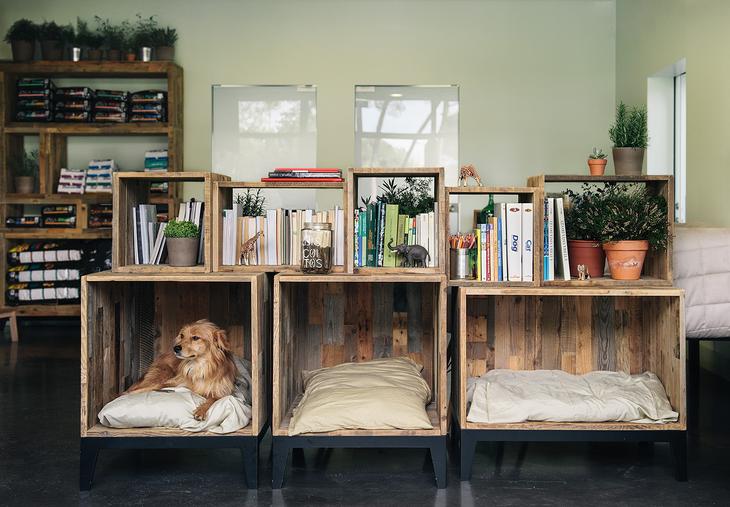 25 удивительных лежаков для собак, сделанных своими руками