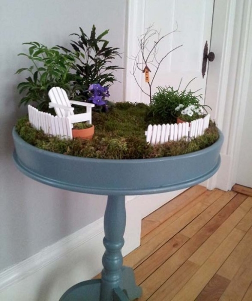Удивительные идеи для создания мини-сада дома