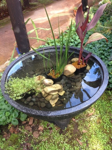 Идеи мини-пруда для красивого сада