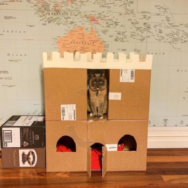 Замки и крепости из картона